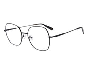 Lejonet c1 sida copy